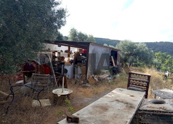 Terrazza - Terreno agricolo Localita Montecaselli
1, Piombino - foto 5