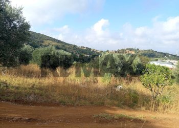 Vista delle montagne - Terreno agricolo Localita Montecaselli
1, Piombino - foto 6