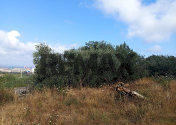 Non correlato - Terreno agricolo Localita Montecaselli
1, Piombino - foto 8