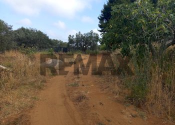Giardino - Terreno agricolo Localita Montecaselli
1, Piombino - foto 9