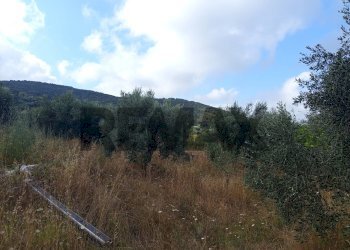 Vista delle montagne - Terreno agricolo Localita Montecaselli
1, Piombino - foto 10