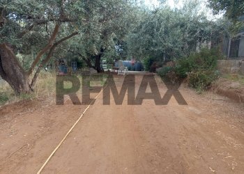 Giardino - Terreno agricolo Localita Montecaselli
1, Piombino - foto 17