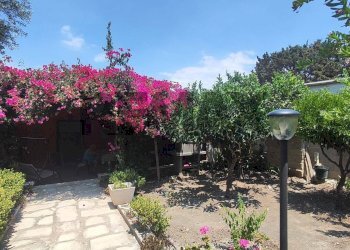 Giardino - Villa Via delle noci di cocco
 
snc, Ispica - foto 7