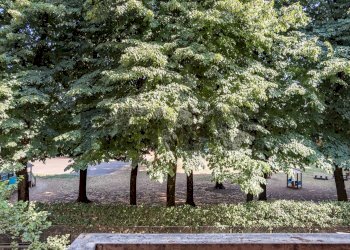 Giardino - Four-room apartment via Martiri Cefalonia
53, San Donato Milanese - photo 14