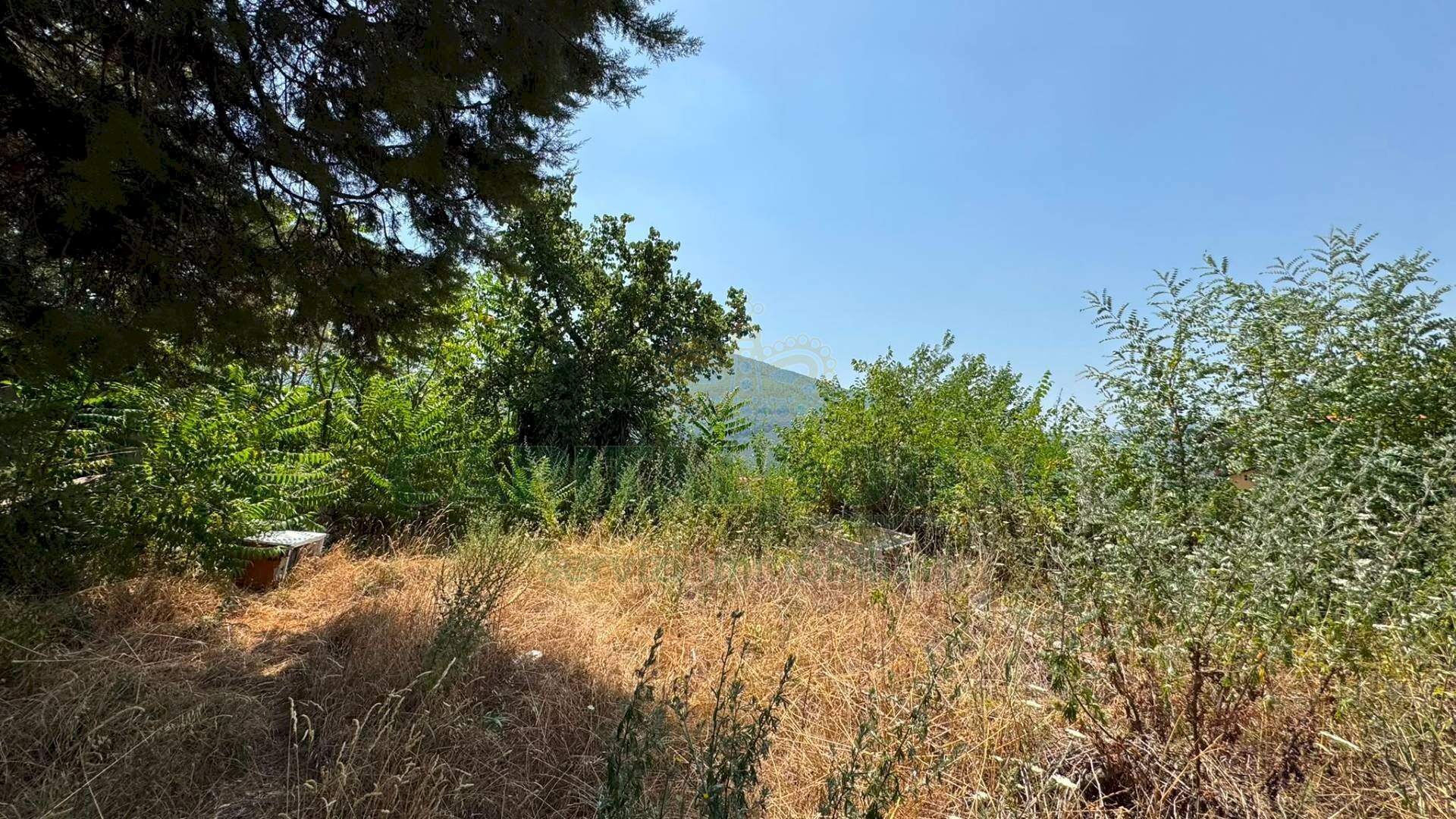 Foto 1 - Terreno agricolo mugnano del cardinale, Mugnano del Cardinale - foto 1