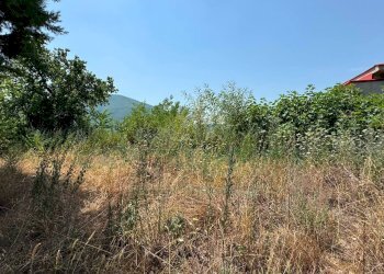Foto 5 - Terreno agricolo mugnano del cardinale, Mugnano del Cardinale - foto 5