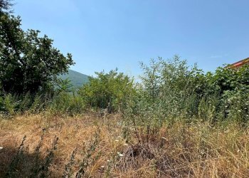 Foto 6 - Terreno agricolo mugnano del cardinale, Mugnano del Cardinale - foto 6