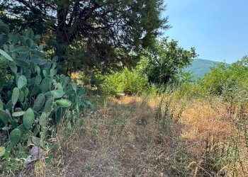 Foto 7 - Terreno agricolo mugnano del cardinale, Mugnano del Cardinale - foto 7