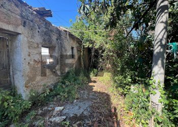 Giardino - Two-room apartment VIA TRABUCCO
 
123/O, Palermo - photo 25