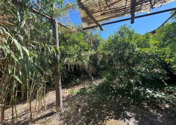 Giardino - Two-room apartment VIA TRABUCCO
 
123/O, Palermo - photo 26