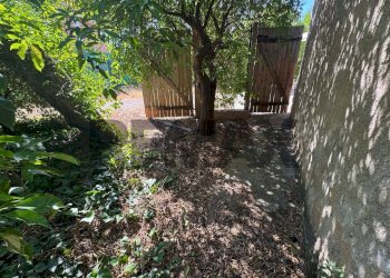 Giardino - Two-room apartment VIA TRABUCCO
 
123/O, Palermo - photo 27