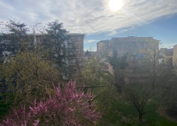 Foto 21 - Quadrilocale Via De Gasperi
 
41, Alessandria - foto 21