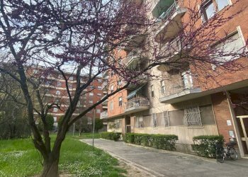 Foto 30 - Quadrilocale Via De Gasperi
 
41, Alessandria - foto 30