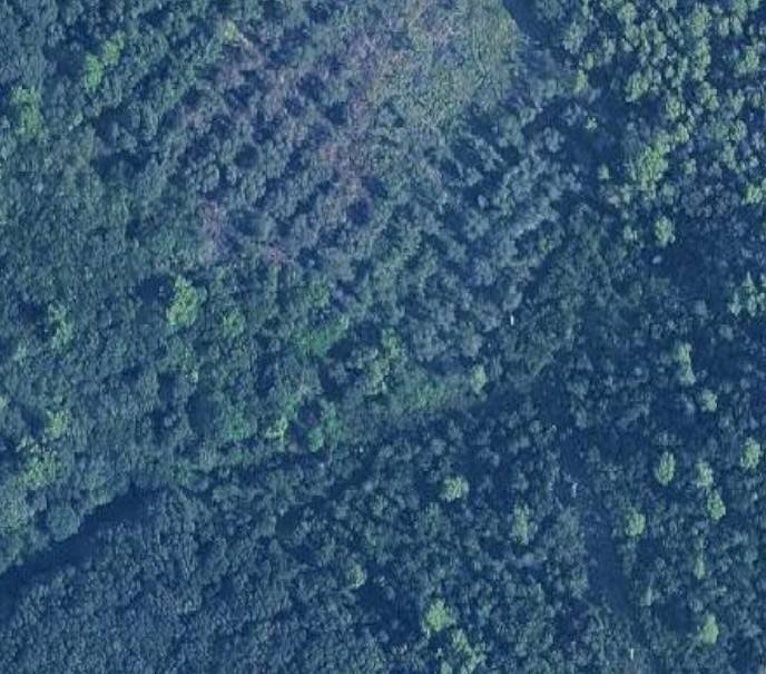 Foto 1 - Terreno agricolo Via del Vaiolo, Rosignano Marittimo - foto 1