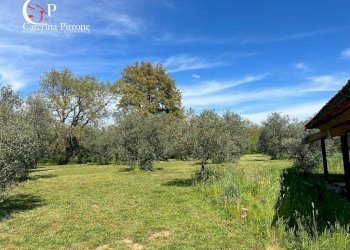 Foto 4 - Villa strada provinciale Collacchia
 
snc, Gavorrano - foto 4