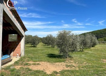 Foto 9 - Villa strada provinciale Collacchia
 
snc, Gavorrano - foto 9