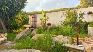 Giardino - Villa via felice tazzini
7, Civitavecchia - foto 3