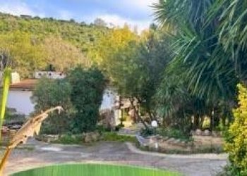 Giardino - Villa via felice tazzini
 
7, Civitavecchia - foto 9