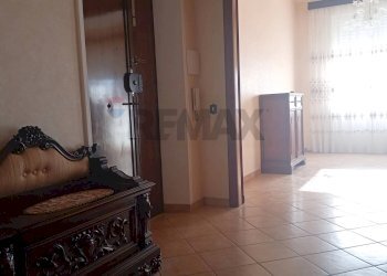 Hall / corridoio - Trilocale Via Alessandro Volta
13, Monte Romano - foto 27