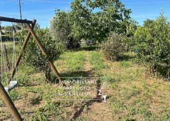 Foto 1 - Agricultural land via Argine Padre Pietro, Massarosa - photo 1