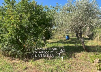 Foto 4 - Agricultural land via Argine Padre Pietro, Massarosa - photo 4