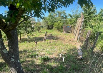 Foto 5 - Agricultural land via Argine Padre Pietro, Massarosa - photo 5