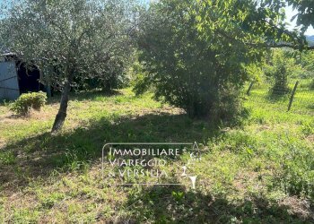 Foto 8 - Agricultural land via Argine Padre Pietro, Massarosa - photo 8