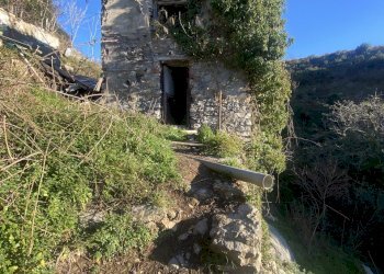 WWW.GOAIMMOBILIARE.IT  TEL 010591323 - Villa VIA BARTOLOMEO BIANCO, Genova - photo 11