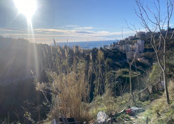 WWW.GOAIMMOBILIARE.IT  TEL 010591323 - Villa VIA BARTOLOMEO BIANCO, Genova - photo 12