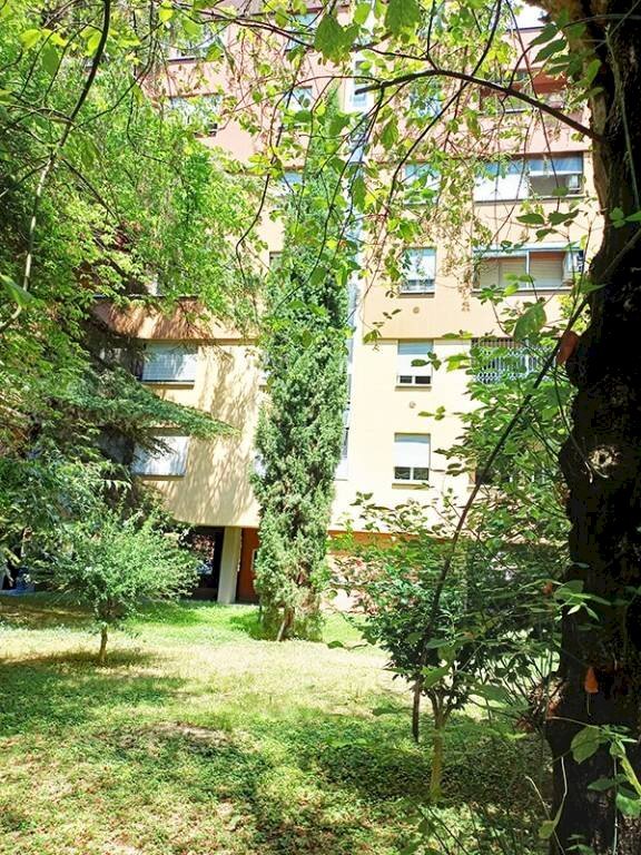Giardino - Quadrilocale via Misa, 20B, Bologna (zona Mazzini) - foto 3