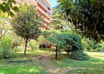 Giardino - Quadrilocale via Misa, 20B, Bologna (zona Mazzini) - foto 1