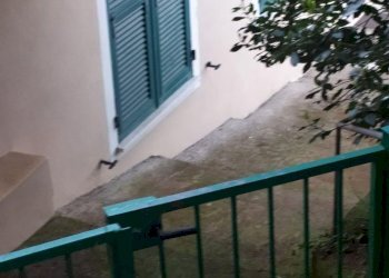 terrazzo - Independent house San Giovanni
 
18020, Prelà - photo 31