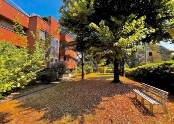 Giardino - Four-room apartment via Toscana, San Lazzaro di Savena - photo 2