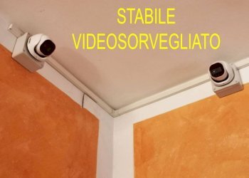Interno palazzo - Quadrilocale via Chiesa della Salute, 45, Torino (zona Borgo Vittoria) - foto 45