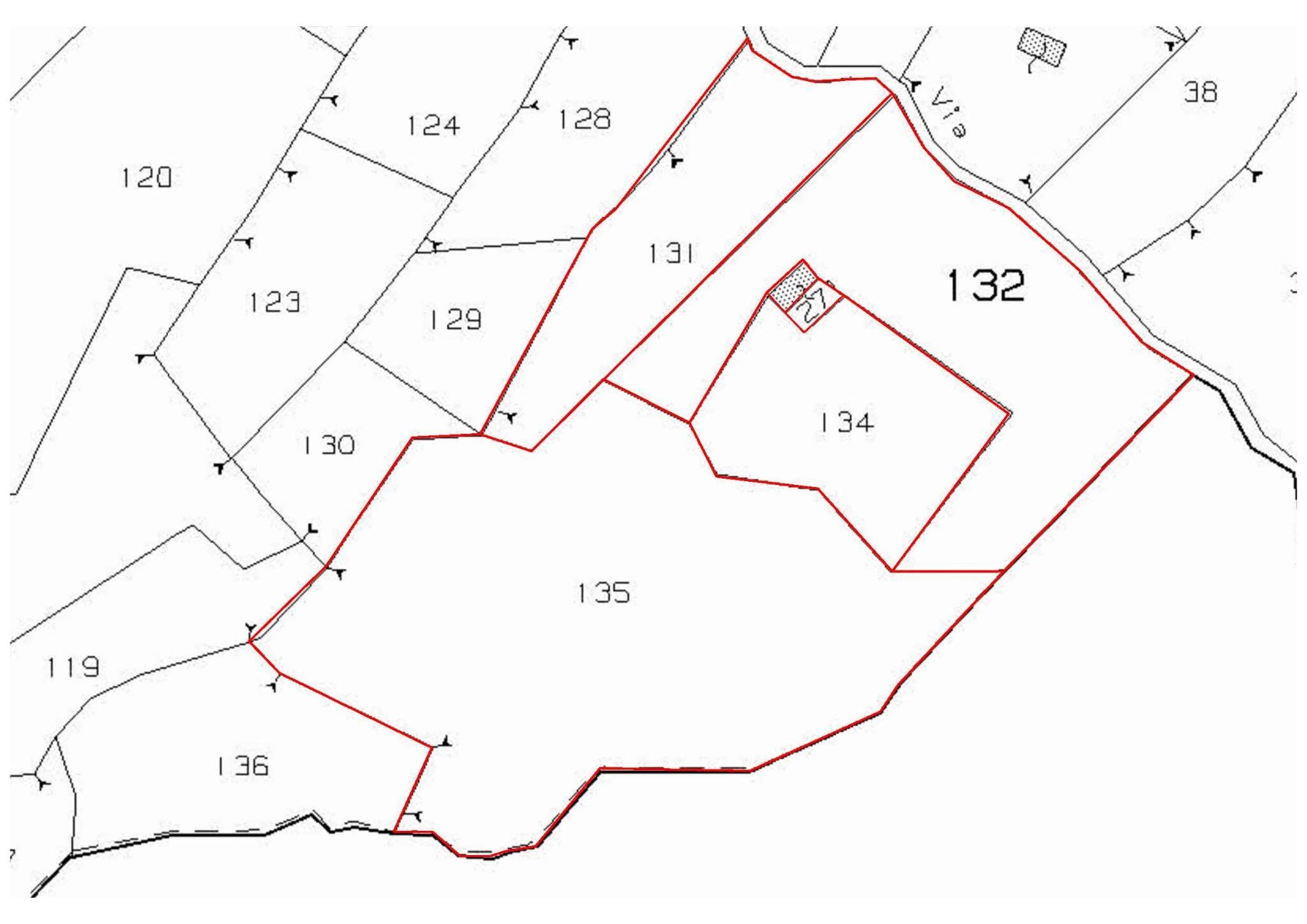 estratto di mappa con individuazione terreni - Rustico Angrogna - planimetria 1