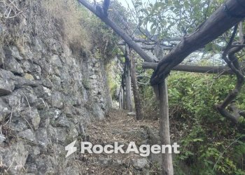 Terreno - Agricultural land largo Civita, 10, Ravello - photo 17