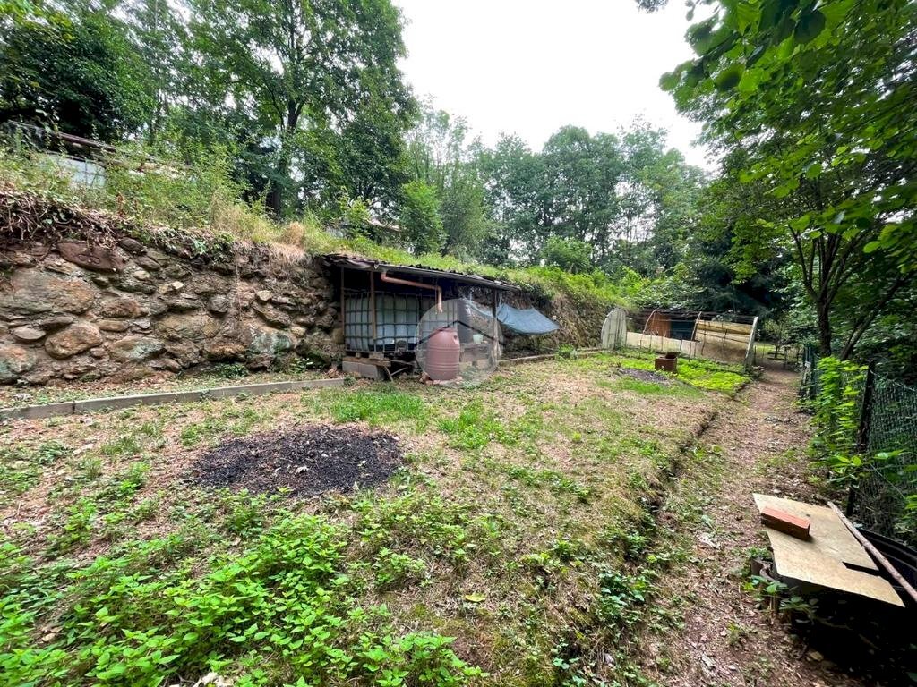 Terreno agricolo Borgata Bergeretti, Giaveno - foto 2