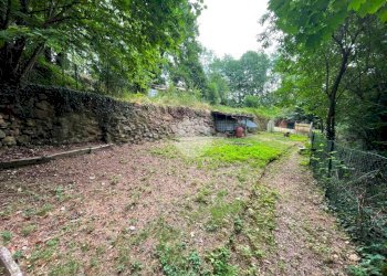 Terreno agricolo Borgata Bergeretti, Giaveno - foto 1