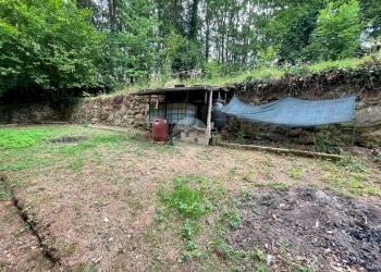 Terreno agricolo Borgata Bergeretti, Giaveno - foto 5