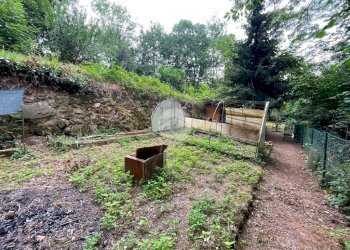 Terreno agricolo Borgata Bergeretti, Giaveno - foto 6