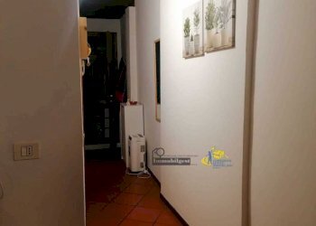 IMG-20240711-WA0010.jpg - Two-room apartment Borgo Regale 19, Parma - photo 10