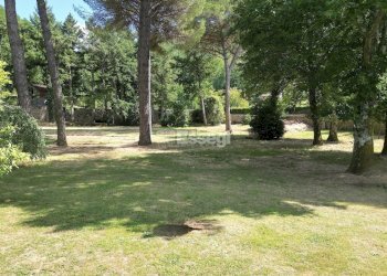 vendesi villa con rustico e giardino privato lucca - Villa Lucca - foto 5