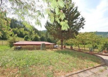 24badiaabovino - Casa Colonica Vicchio - foto 24