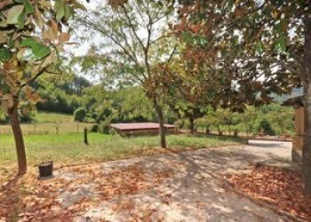 26badiaabovino - Casa Colonica Vicchio - foto 26