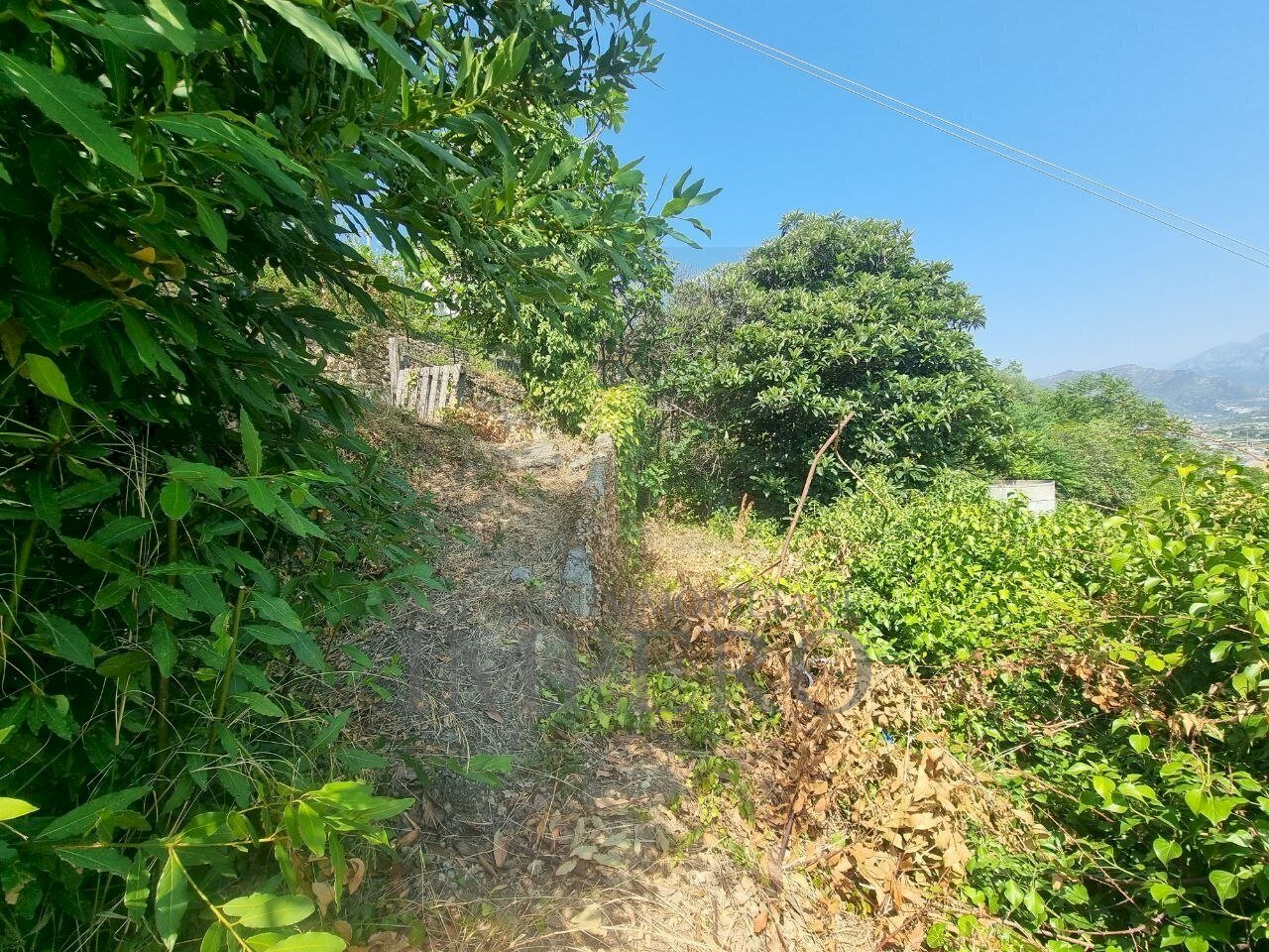 5960970061012995604 - Terreno agricolo Via Daffra 20, Ventimiglia - foto 2