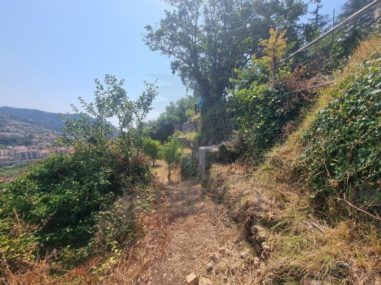 5960970061012995605 - Terreno agricolo Via Daffra 20, Ventimiglia - foto 3