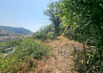 5960970061012995603 - Terreno agricolo Via Daffra 20, Ventimiglia - foto 1