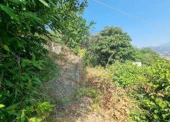 5960970061012995604 - Terreno agricolo Via Daffra 20, Ventimiglia - foto 2