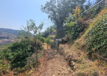 5960970061012995605 - Terreno agricolo Via Daffra 20, Ventimiglia - foto 3