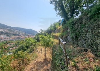 5960970061012995606 - Terreno agricolo Via Daffra 20, Ventimiglia - foto 4